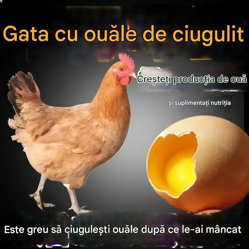 Jedna pilulka může tuto nemoc vyléčit. ✅Podvýživa drůbeže