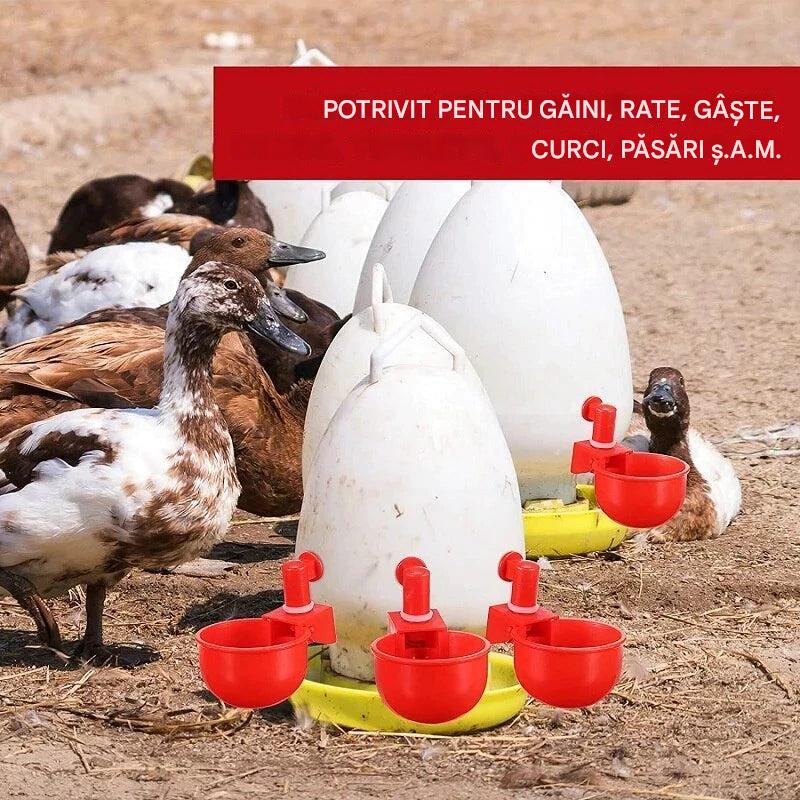 🐔Automatická napáječka pro drůbež