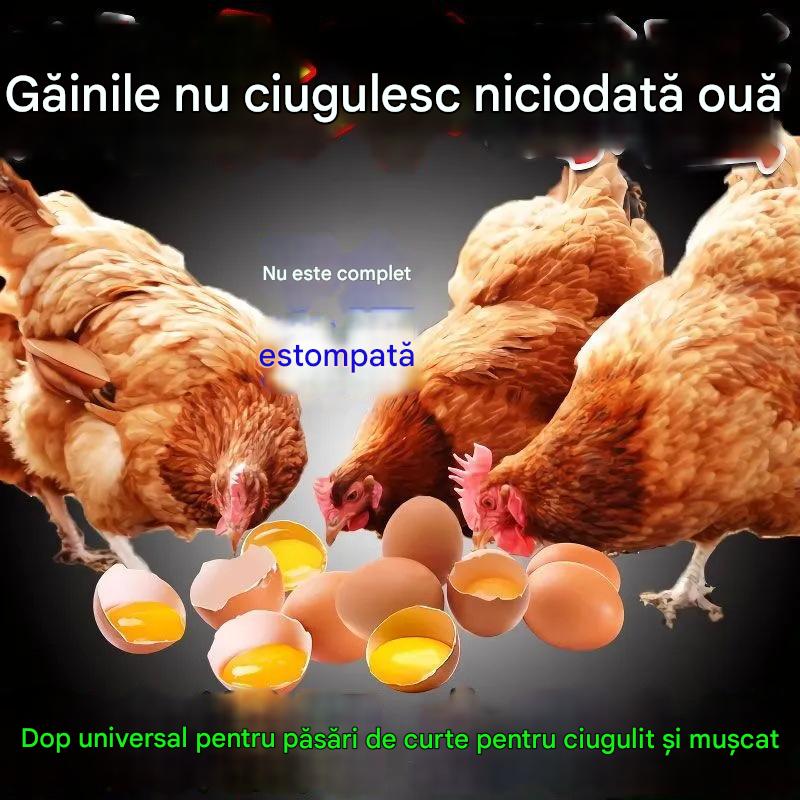 Jedna pilulka může tuto nemoc vyléčit. ✅Podvýživa drůbeže
