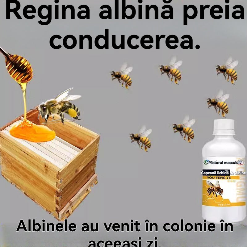 🐝Tekutý atraktant pro včely, silný artefakt atraktant pro včely, růst včelí farmy, voda atraktant pro včely
