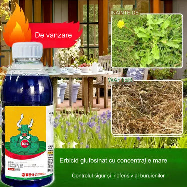 🌿【Kupte 1 a získejte 2 zdarma】 Vysoce koncentrovaný herbicid na bázi glufosinátu amonného 