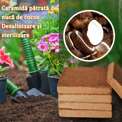 🔥🔥【3 buc】Pământ nutritiv din cărămidă de nucă de cocos